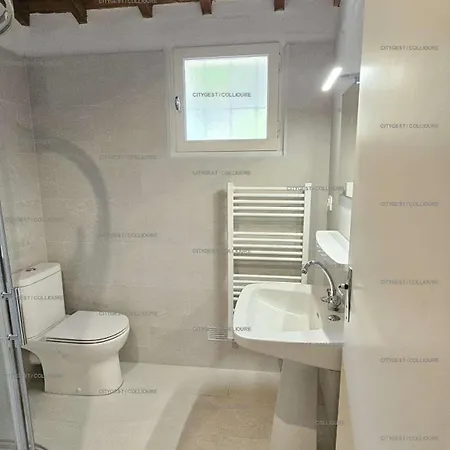 5amb3- Duplex Dans Avec Piscine Et Parking Collioure